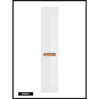 Colonne de salle de bain de 170 cm - Blanc - 2 portes - PASTI WHITE