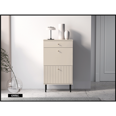 Meuble à chaussures - H.100 x L.55 x L.34 cm - SOFY