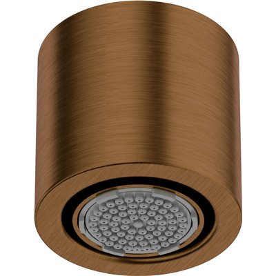 Pomme de douche monofonction avec bec pivotant - Collection SILIA