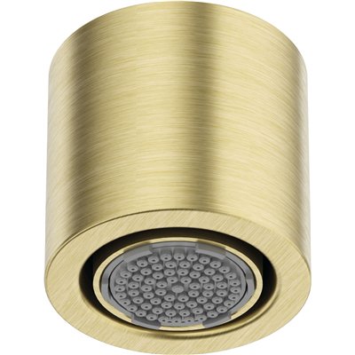 Pomme de douche monofonction avec bec pivotant - Collection SILIA