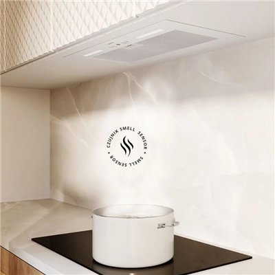 Hotte aspirante - Flueris