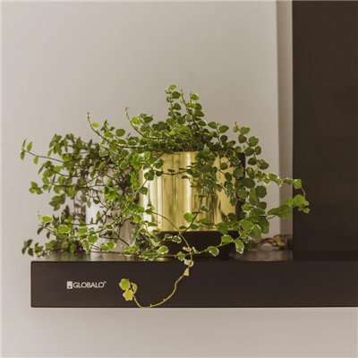 Hotte aspirante - Nomina